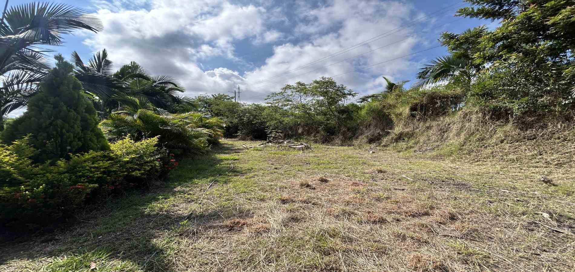 Foto de Lote / terreno en Venta en Cerritos, Pereira - 11 - 279068246