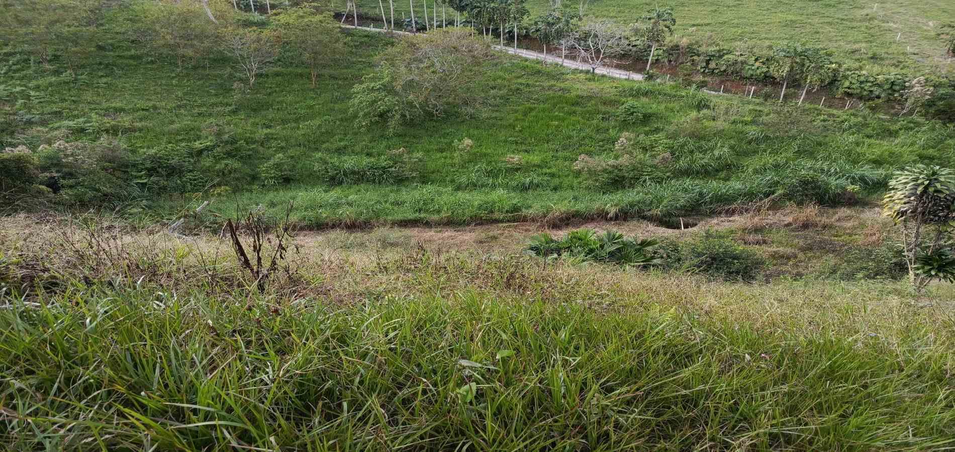 Foto de Lote / terreno en Venta en Via alcala, Pereira - 4 - 279061897