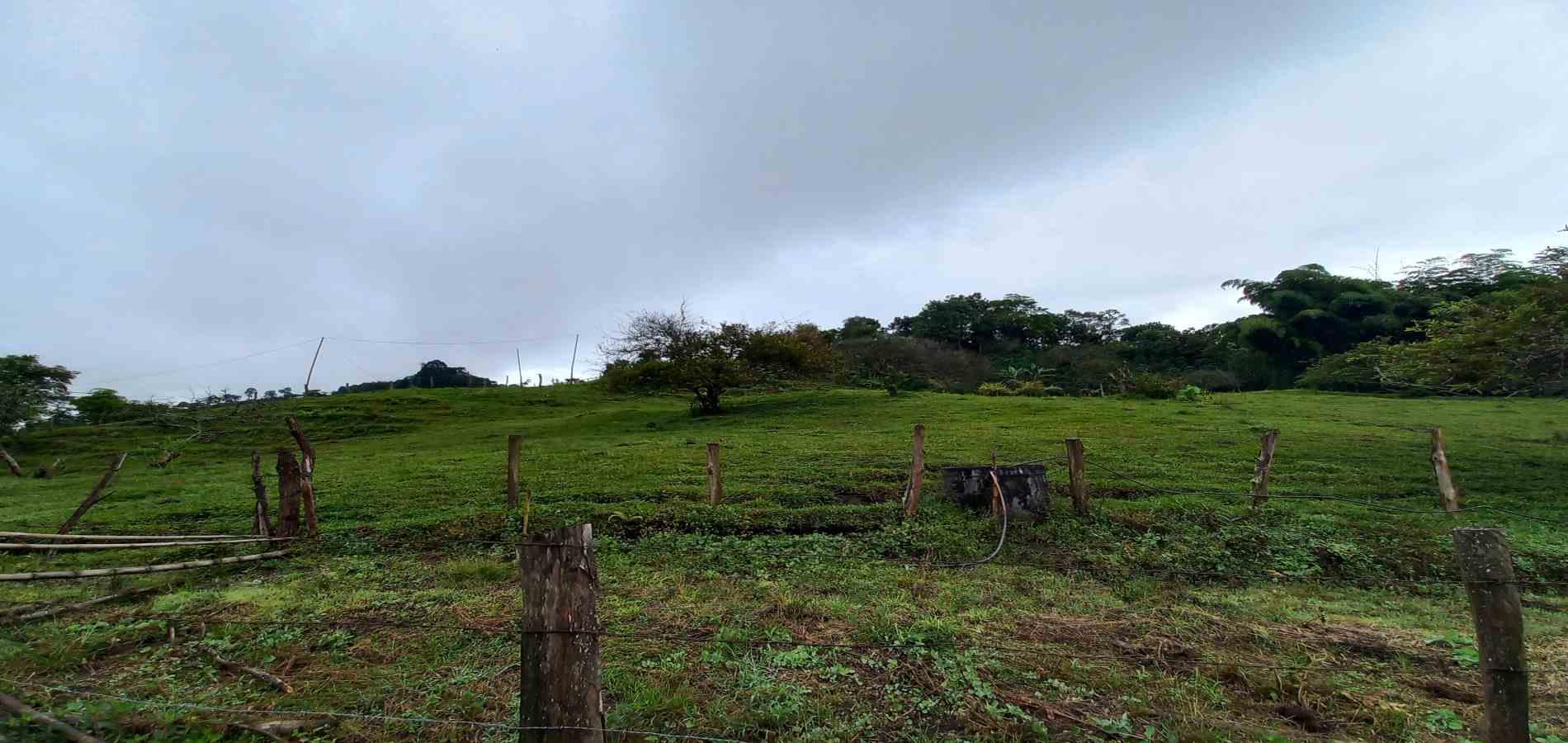 Foto de Lote / terreno en Venta en Veracruz, Santa rosa de cabal - 6 - 279066398