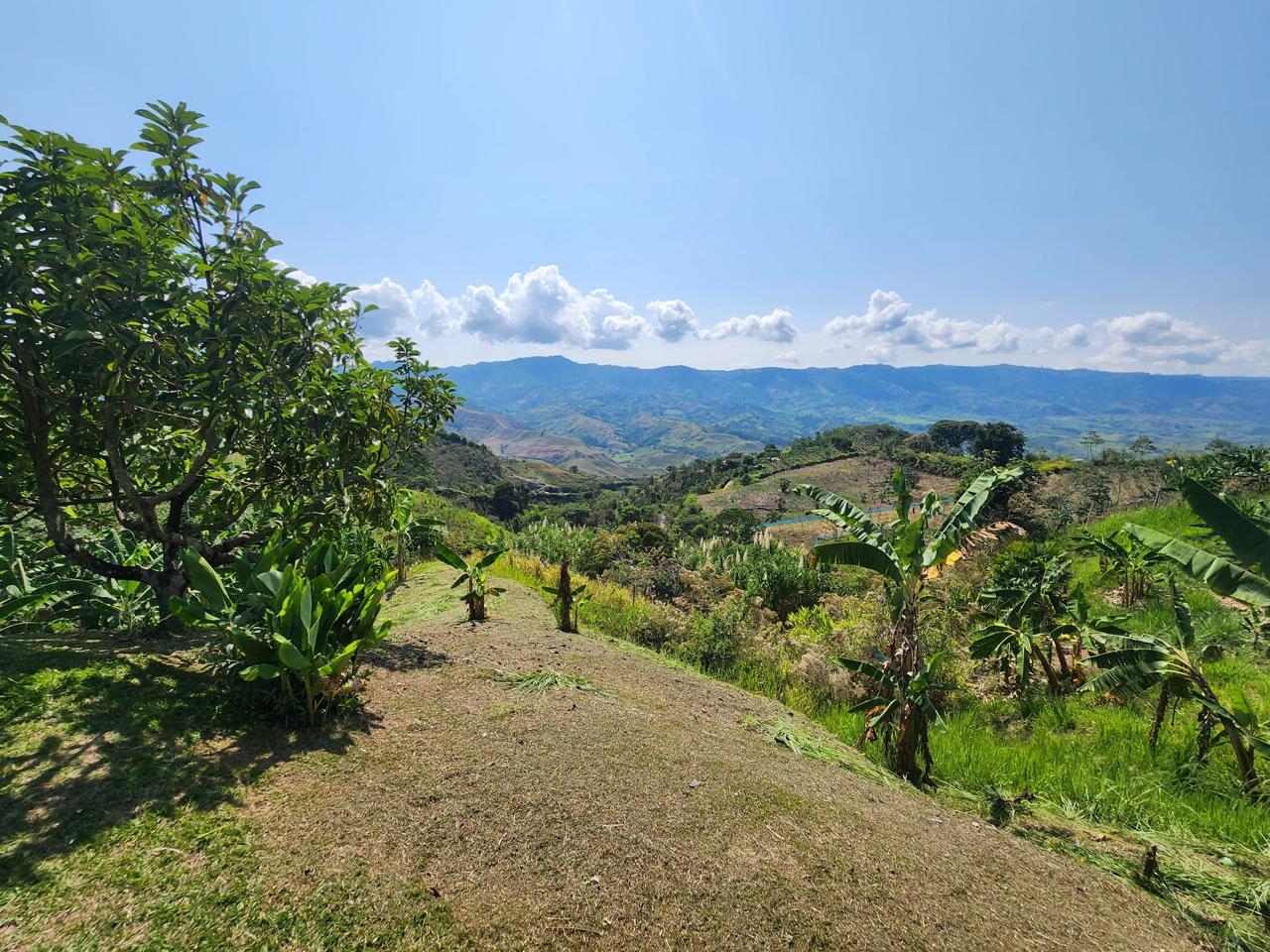 Foto de Finca en Venta en Barrio villa hermosa 2 y robelio suarez, Belen de umbria - 12 - 279056358