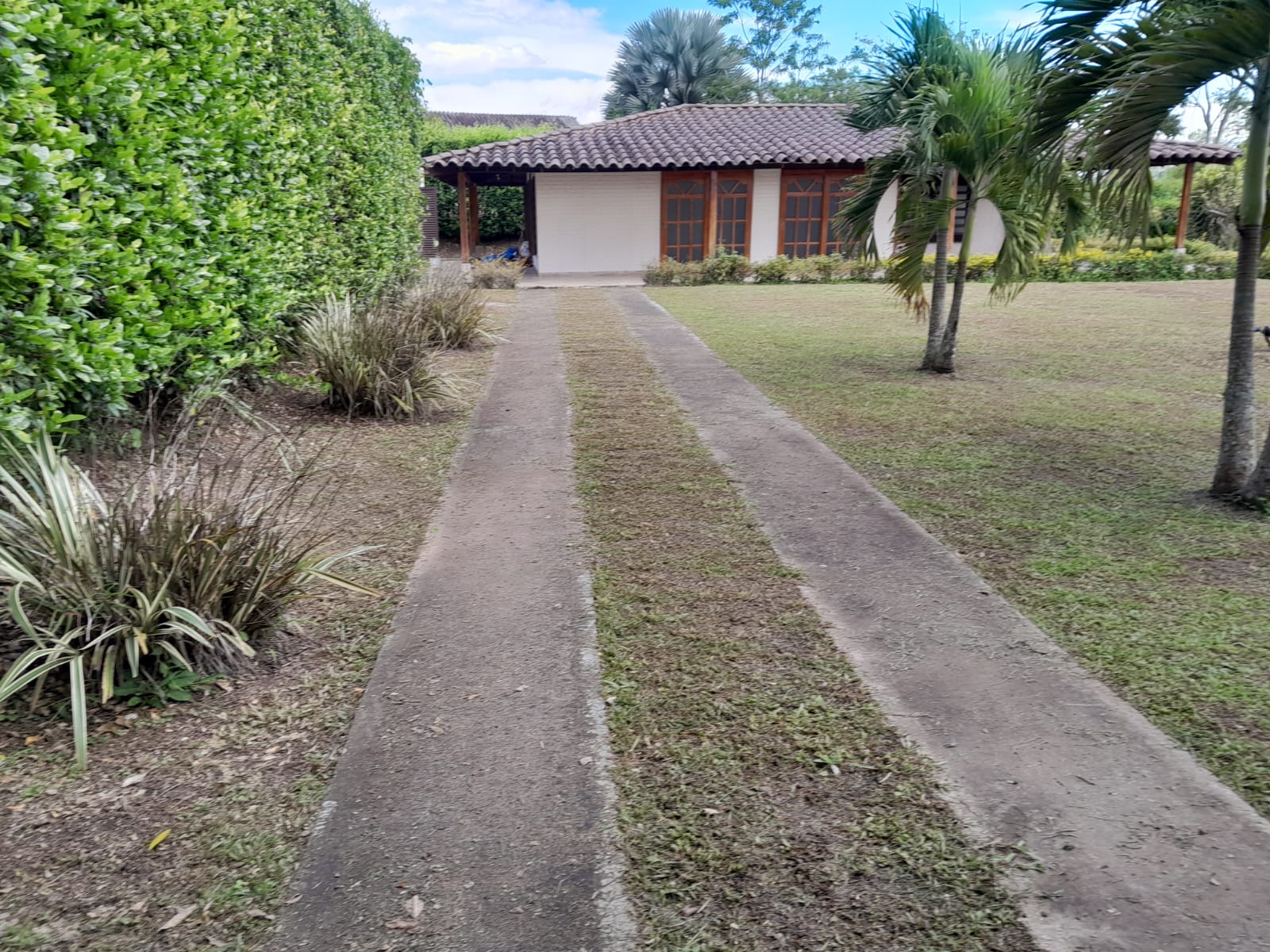 Foto de Finca en Venta en Via alcala, Pereira - 14 - 279064976