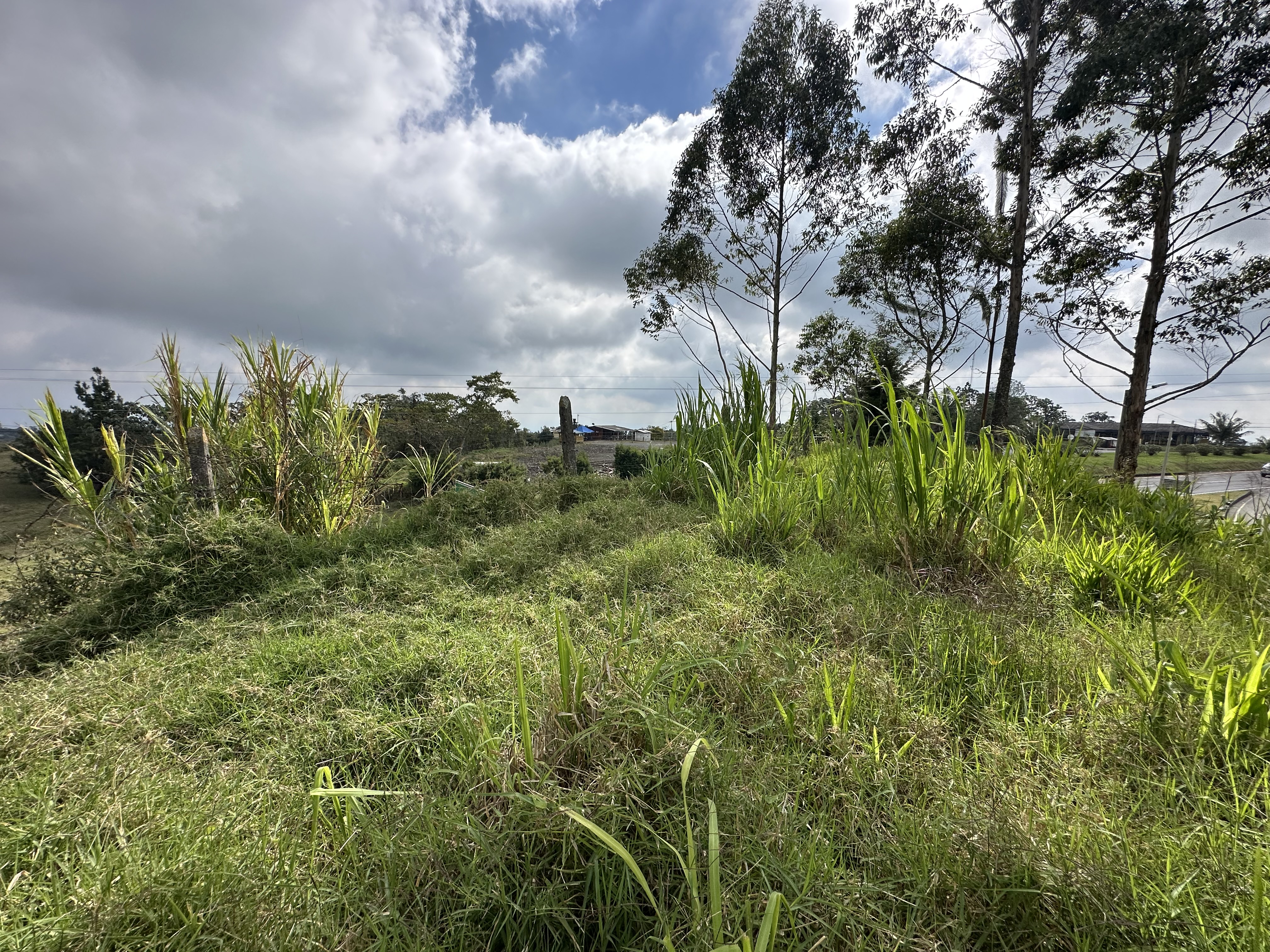 Foto de Lote / terreno en Venta en Via circasia, Armenia  - 7 - 279070024