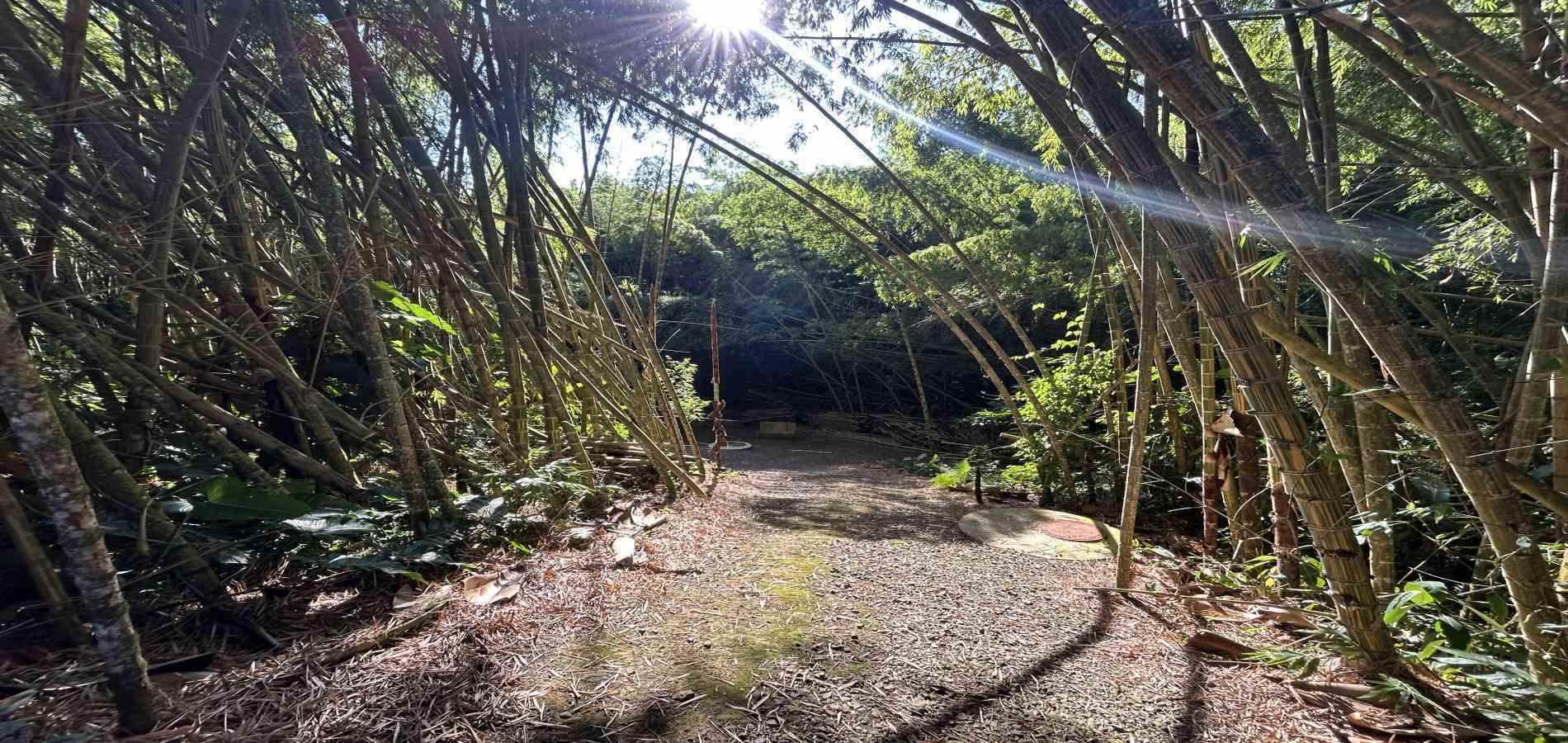 Foto de Lote / terreno en Venta en Cerritos, Pereira - 15 - 279069202