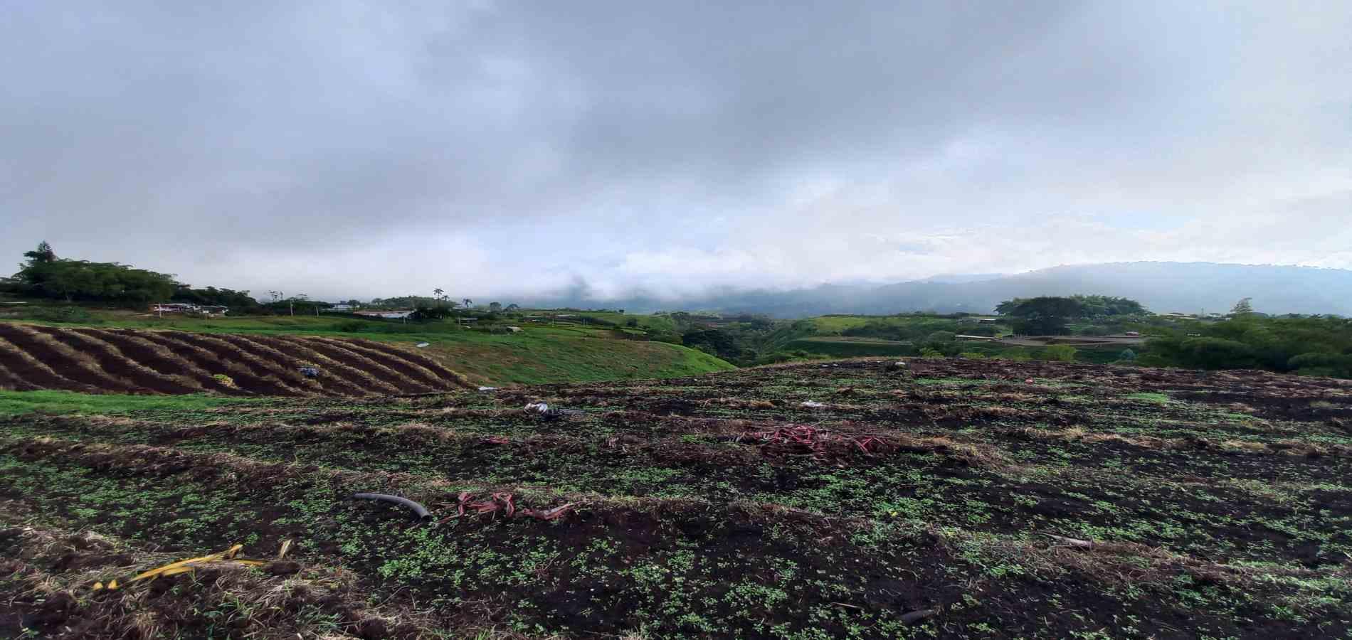 Foto de Lote / terreno en Venta en Vereda el lembo, Santa rosa de cabal - 2 - 279066290