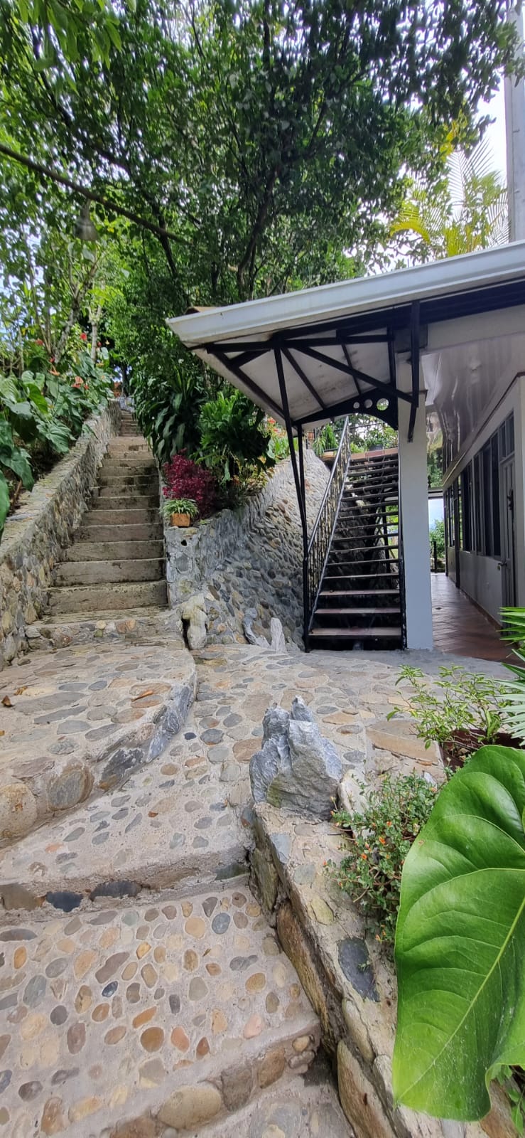 Foto de Edificio en Venta en Vereda la quiebra, Norcasia - 11 - 279060618