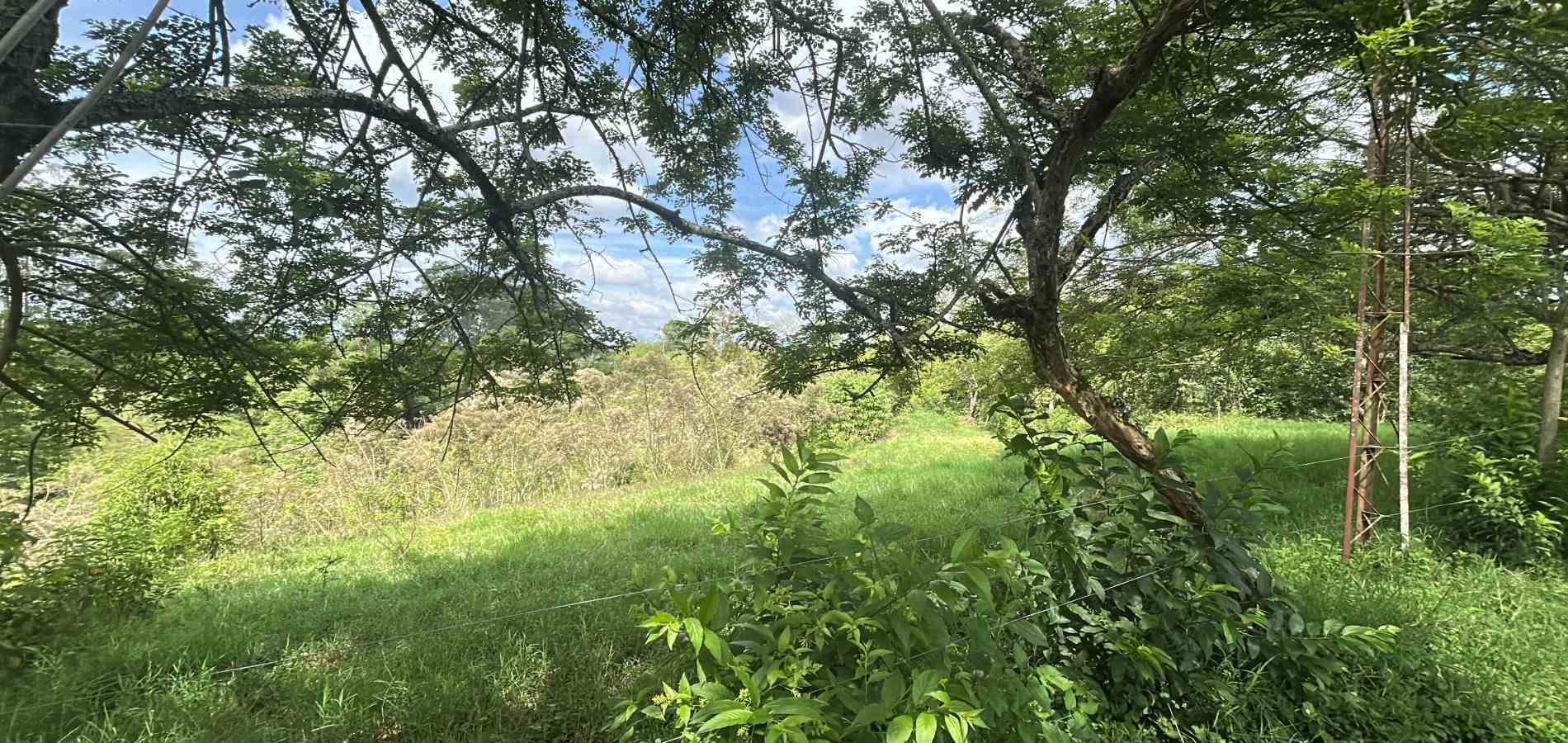 Foto de Lote / terreno en Venta en Via alcala, Pereira - 10 - 279066762