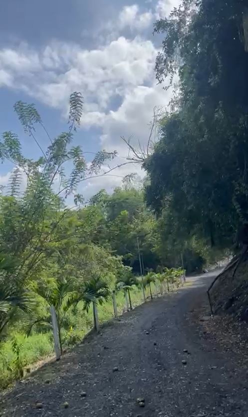 Foto de Lote / terreno en Venta en Via alcala, Pereira - 1 - 279060936