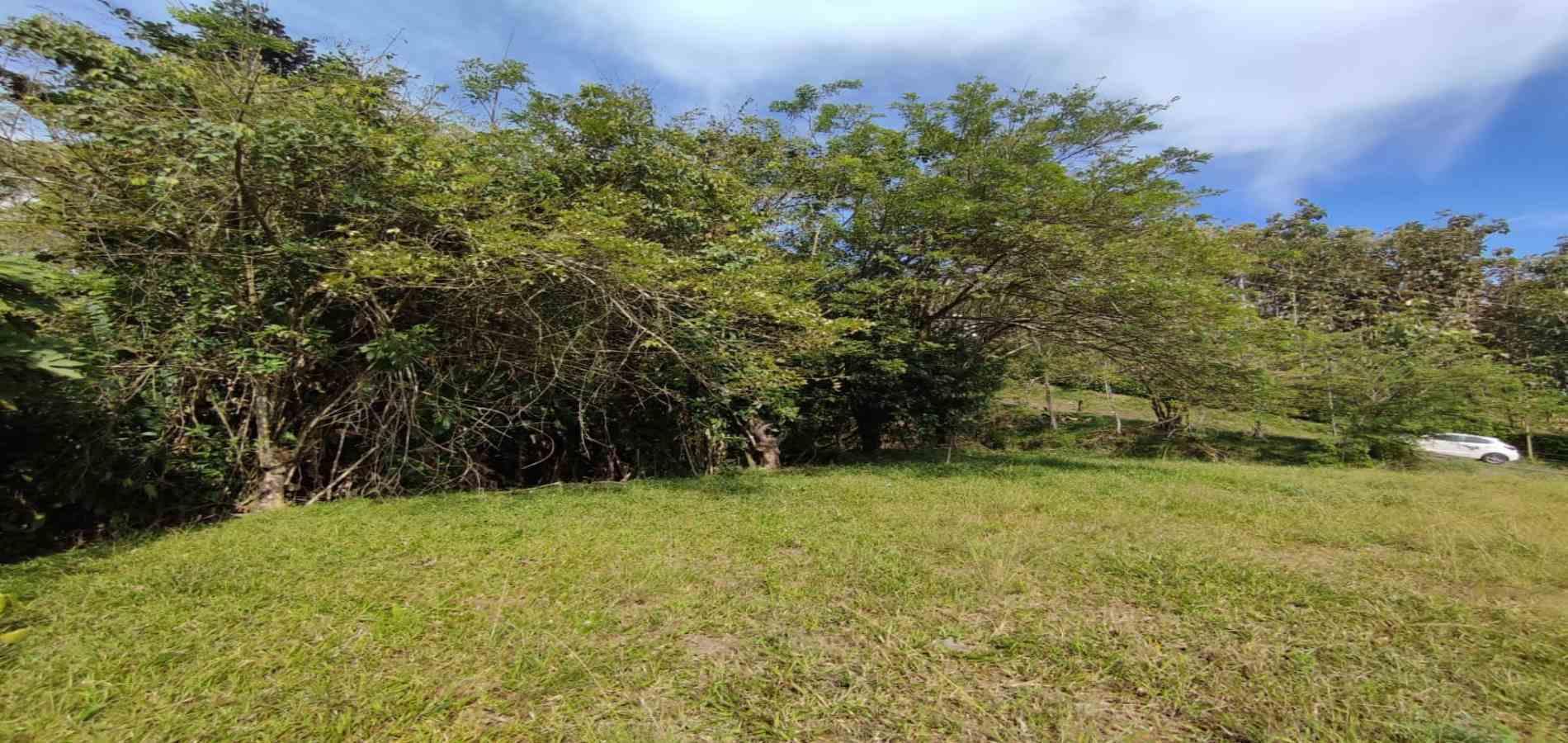 Foto de Lote / terreno en Venta en Centro, Pereira - 5 - 279063216
