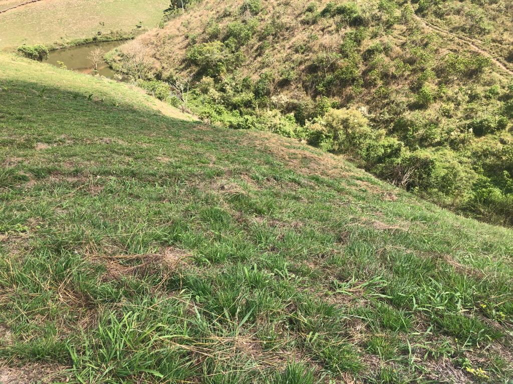 Foto de Lote / terreno en Venta en Cerritos, Pereira - 14 - 279055622