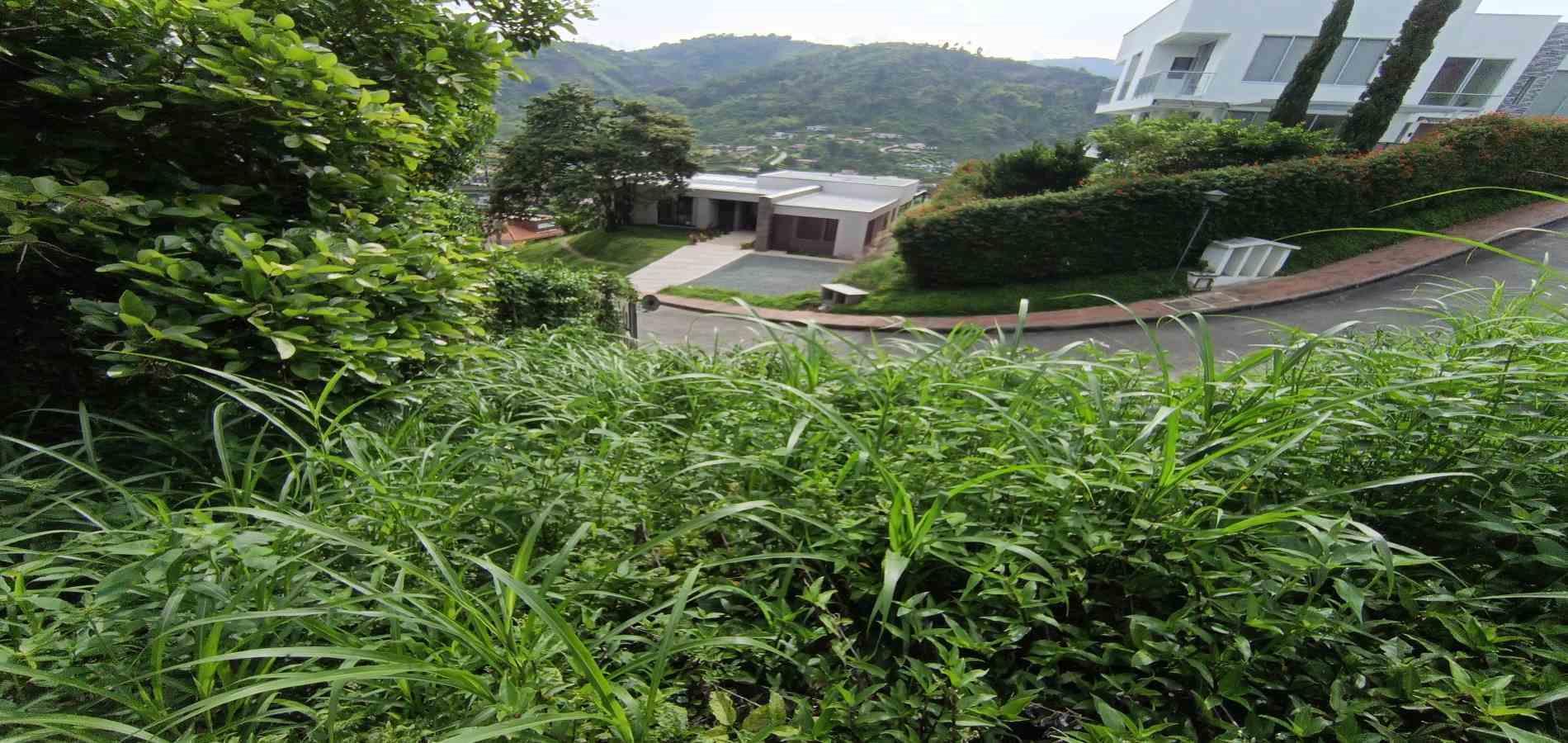 Foto de Lote / terreno en Venta en San bernardo del viento , Manizales - 21 - 279068029