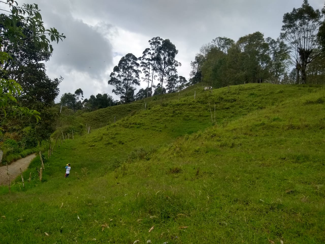 Foto de Finca para Venta en La florida, Pereira - 279060579