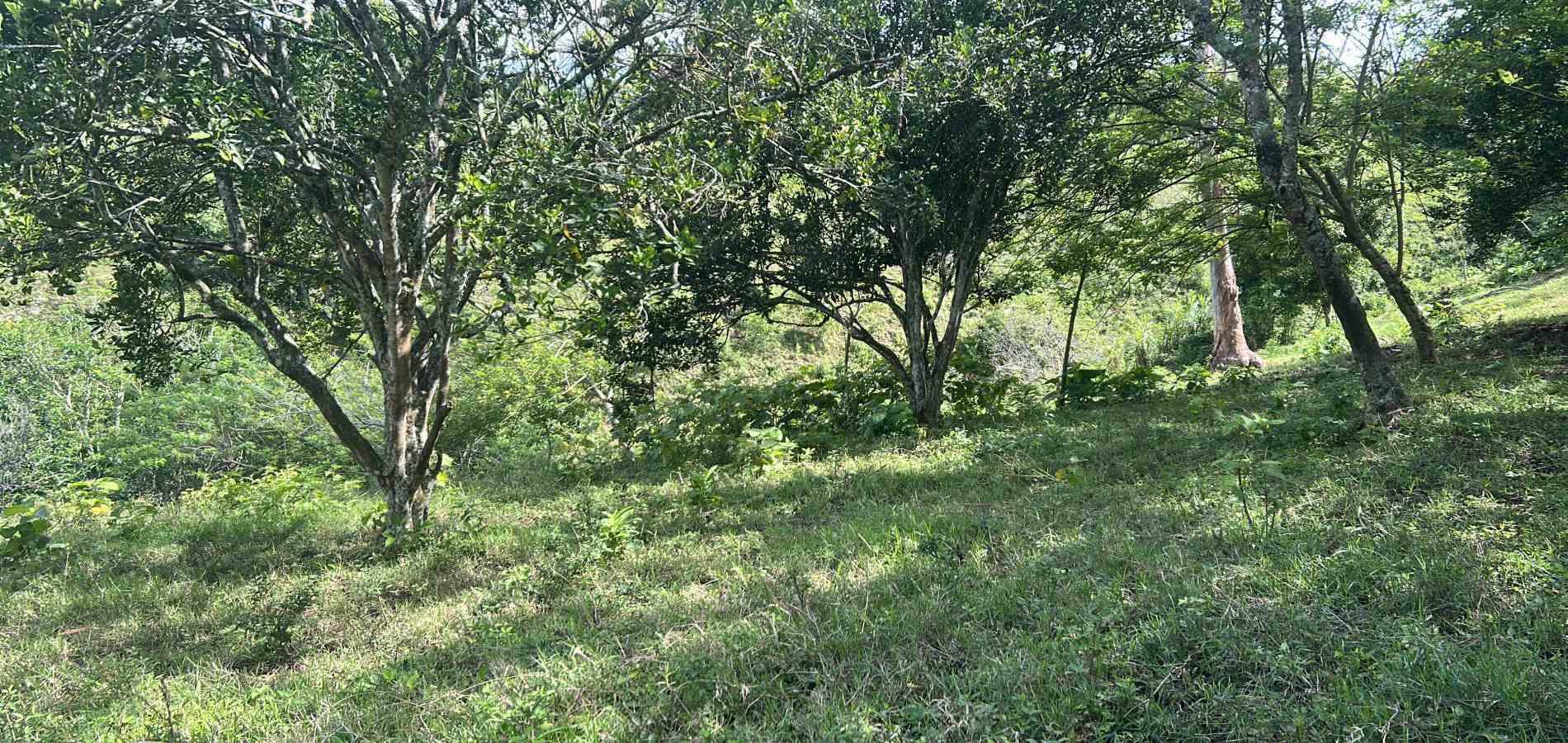 Foto de Lote / terreno en Venta en Via alcala, Pereira - 1 - 279066756