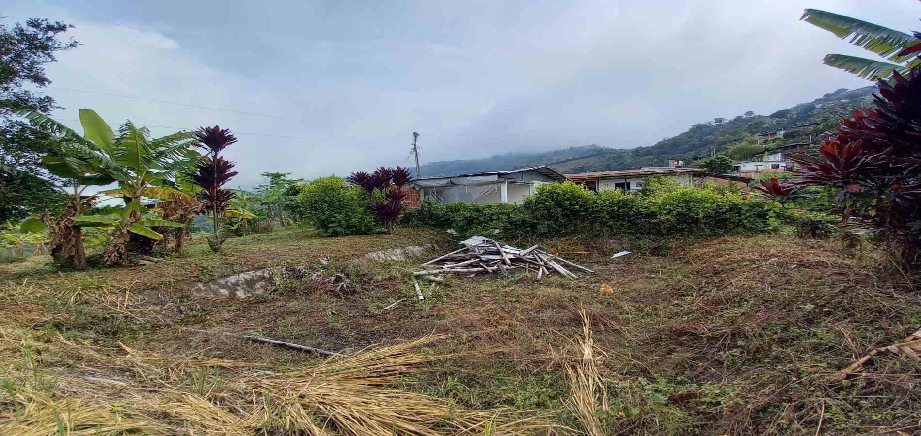 Foto de Finca en Venta en Vereda la argelia, Manizales - 8 - 279066671