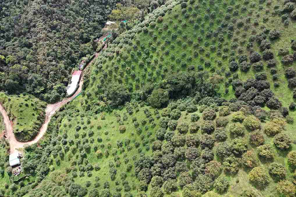 Foto de Finca en Venta en Vereda aguadita, Fresno - 10 - 279054270