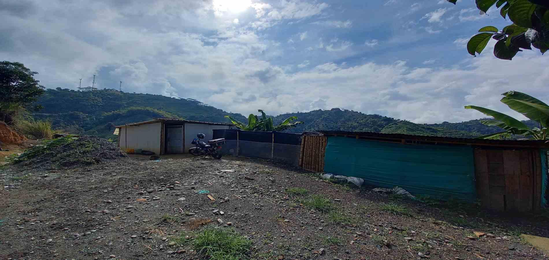 Foto de Finca en Venta en San peregrino, Manizales - 1 - 279061656