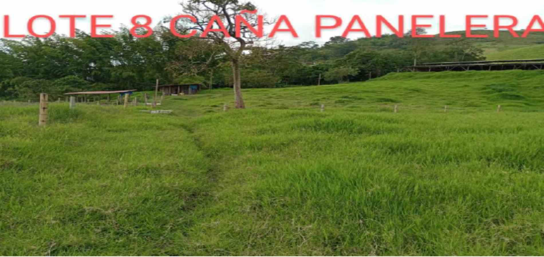 Foto de Lote / terreno en Venta en Vereda armenia , Neira - 20 - 279026013