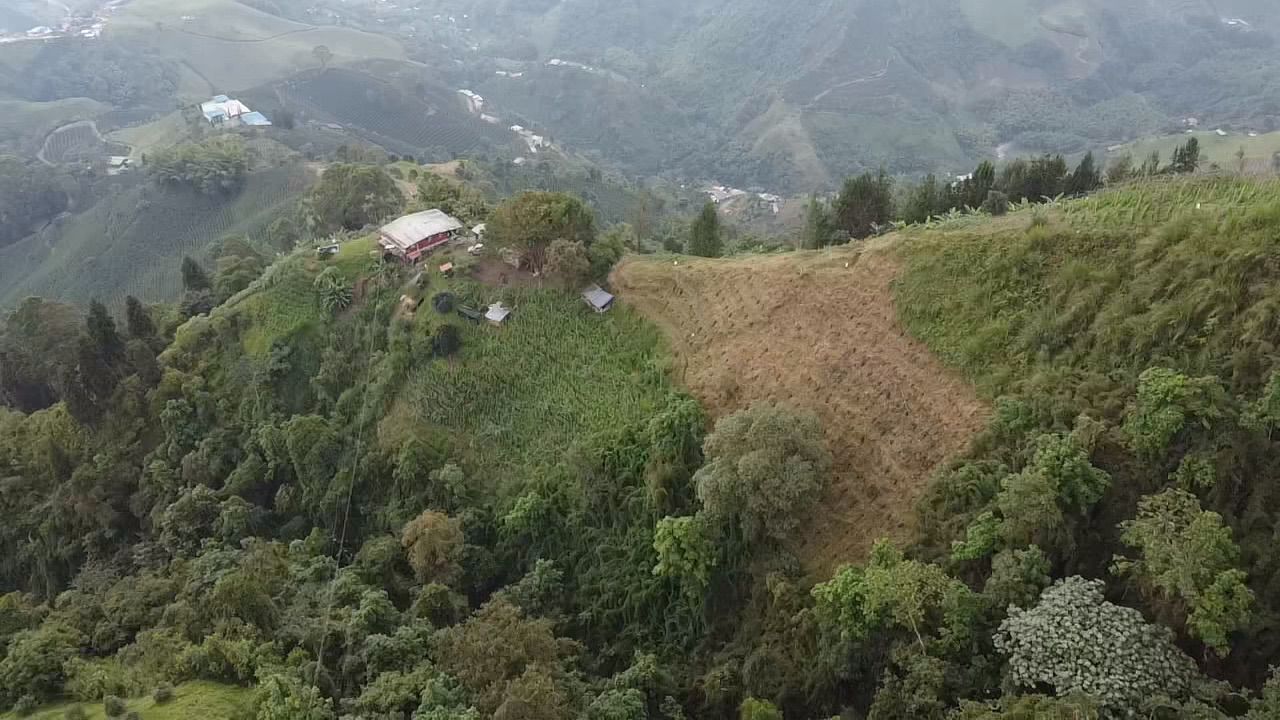 Foto de Lote / terreno en Venta en Llanitos, Villamaria - 13 - 279054085