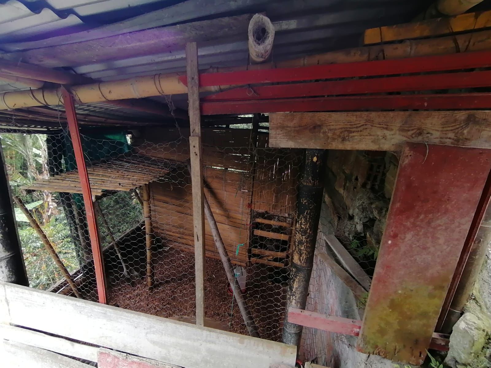 Foto de Finca en Venta en Maracas, Neira - 15 - 279063622