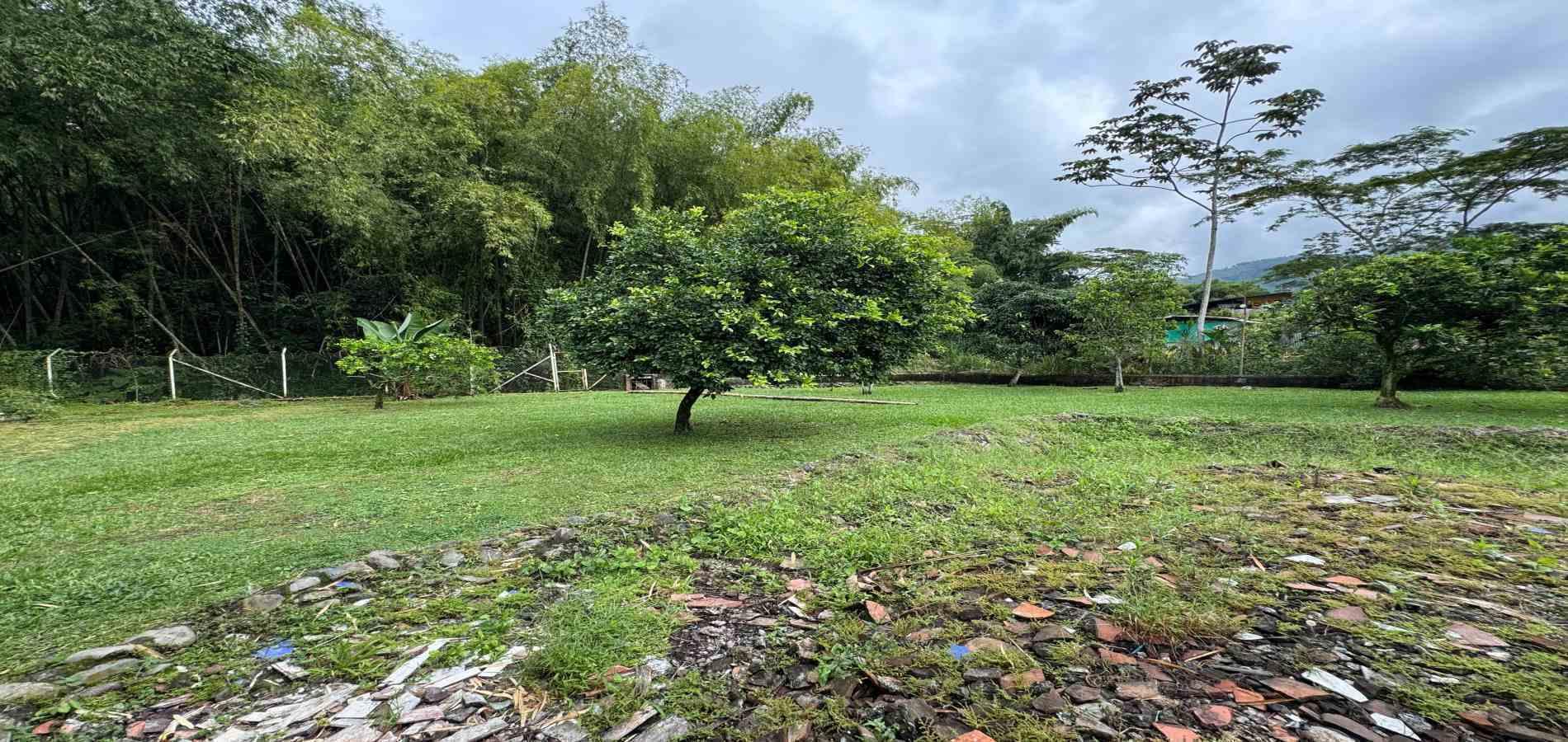 Foto de Finca en Venta en Combia, Pereira - 13 - 279060337