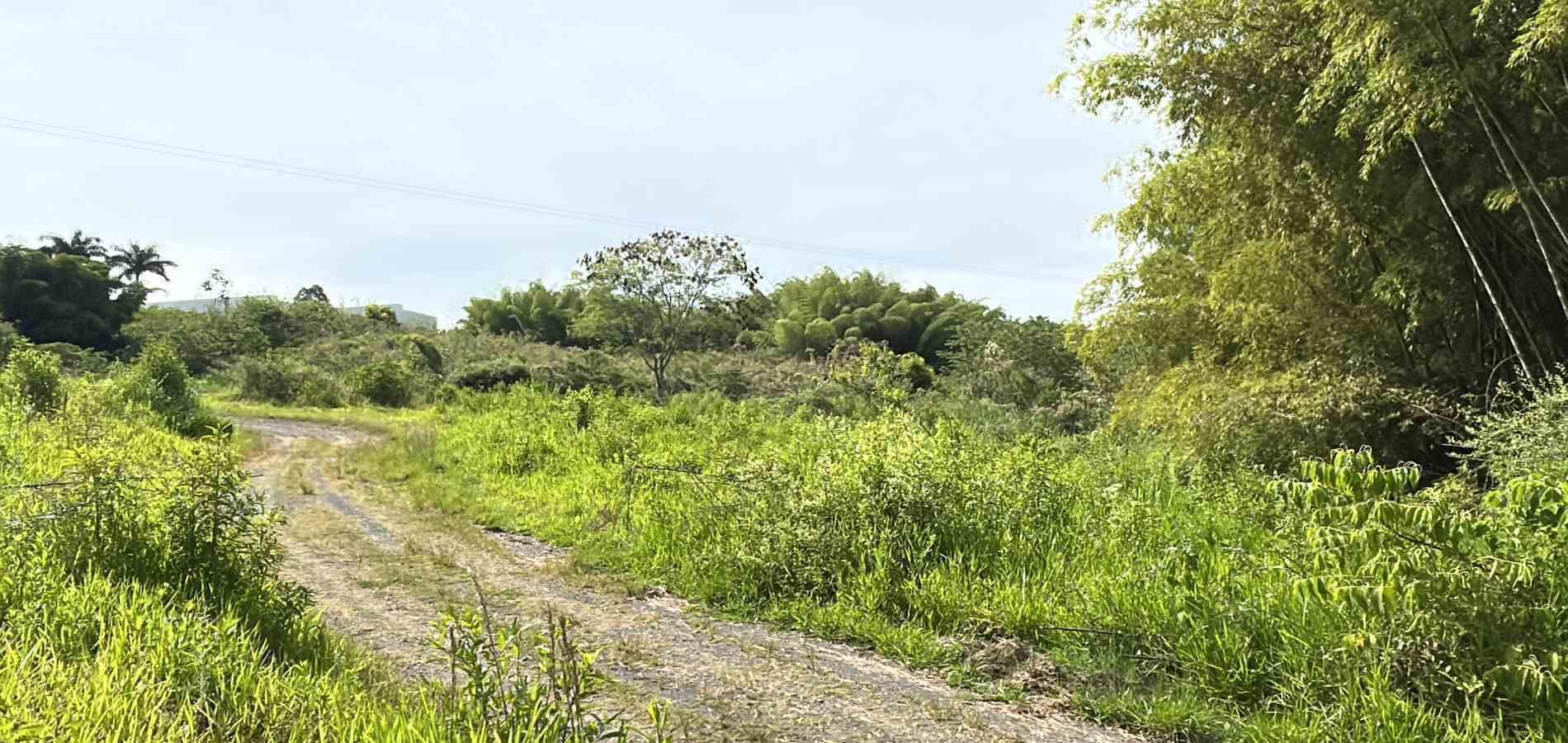 Foto de Lote / terreno en Venta en Cerritos, Pereira - 17 - 279068089