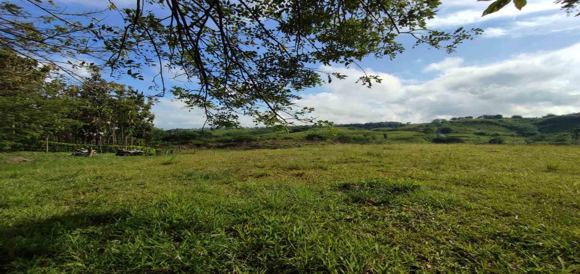 Foto de Lote / terreno en Venta en Centro, Pereira - 3 - 279063216