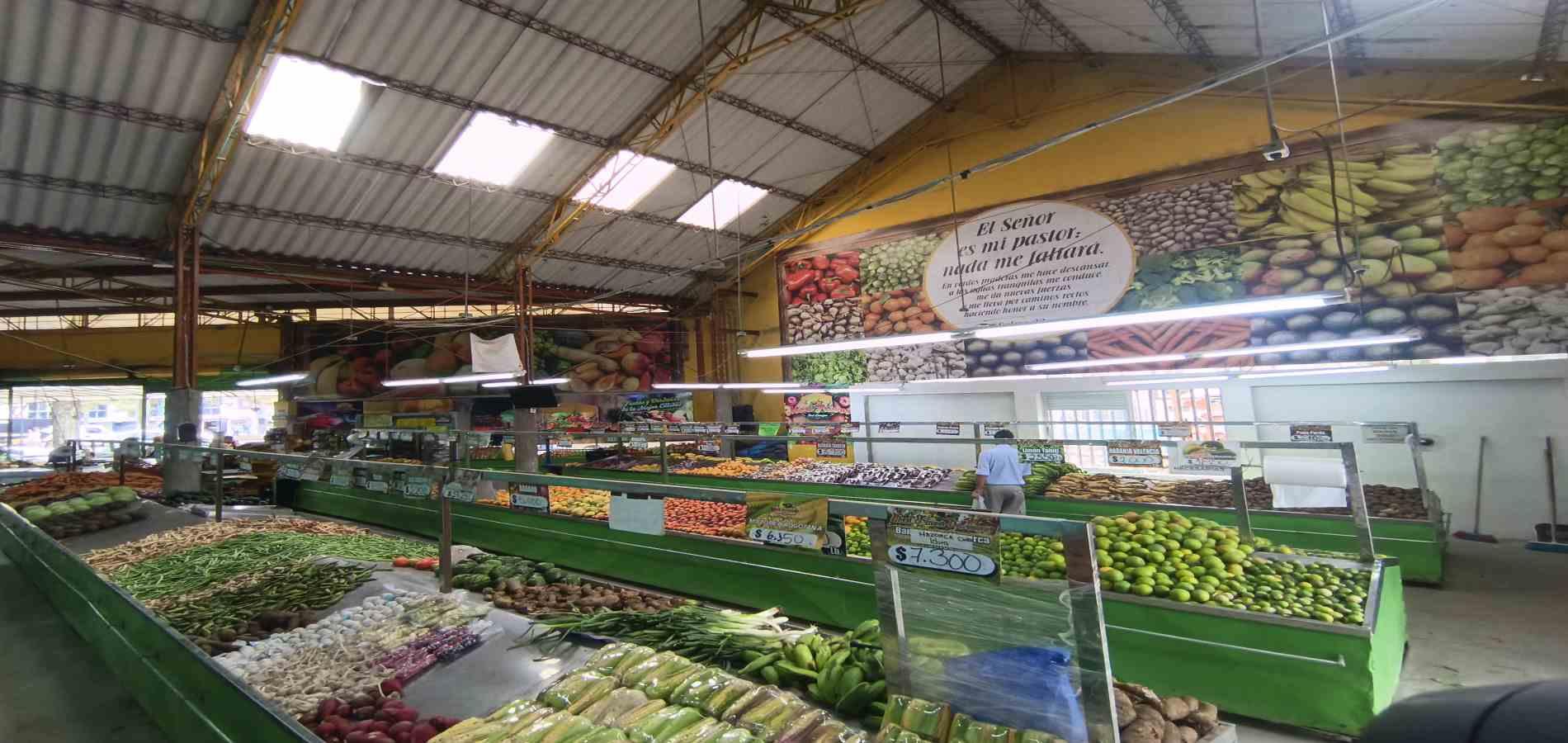 Foto de Local en Arriendo en El triangulo, Manizales - 9 - 279070048