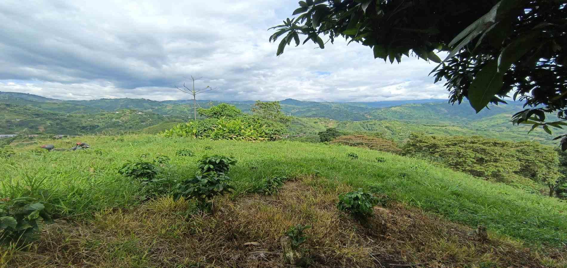 Foto de Lote / terreno en Venta en San peregrino, Manizales - 9 - 279068552
