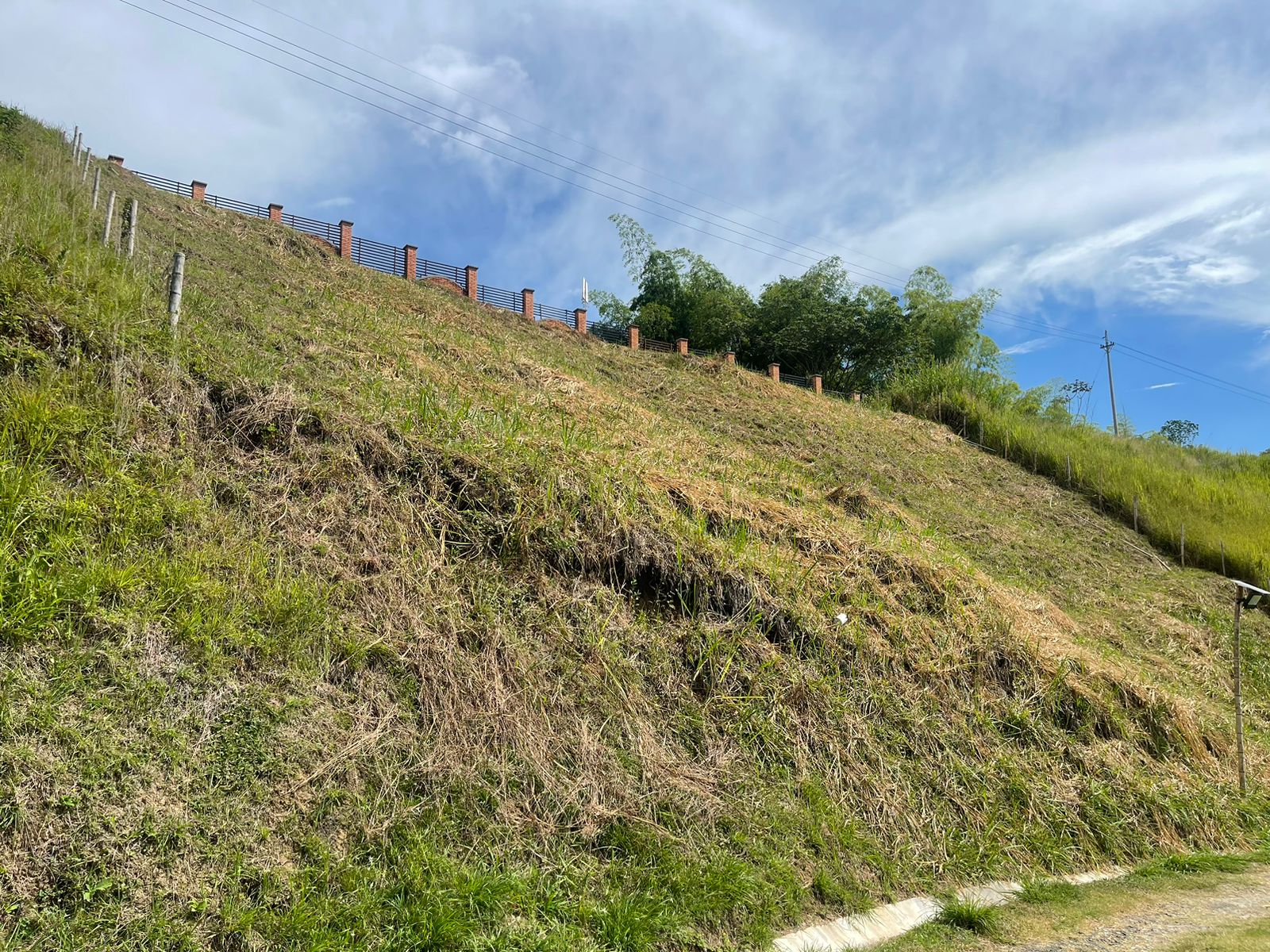 Foto de Lote / terreno en Venta en Cerritos, Pereira - 12 - 279058389