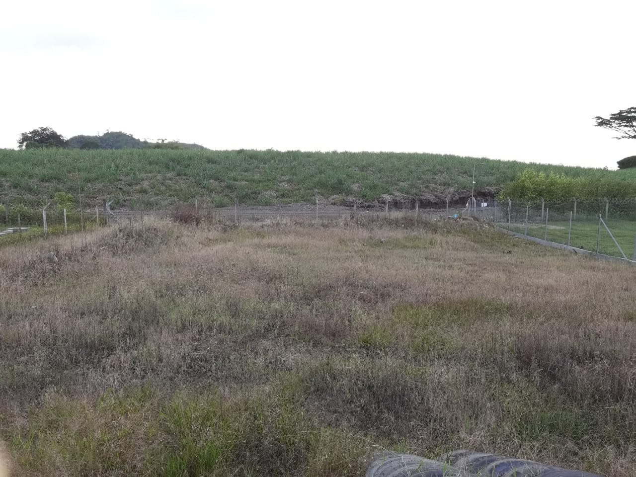 Foto de Lote / terreno en Venta en Combia, Pereira - 2 - 279053691