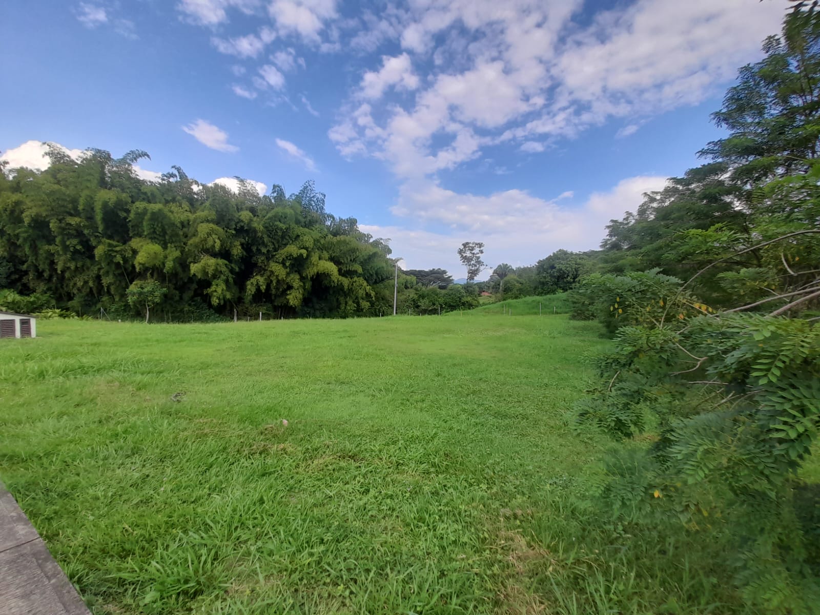 Foto de Lote / terreno en Venta en La floresta, Pereira - 12 - 279065198