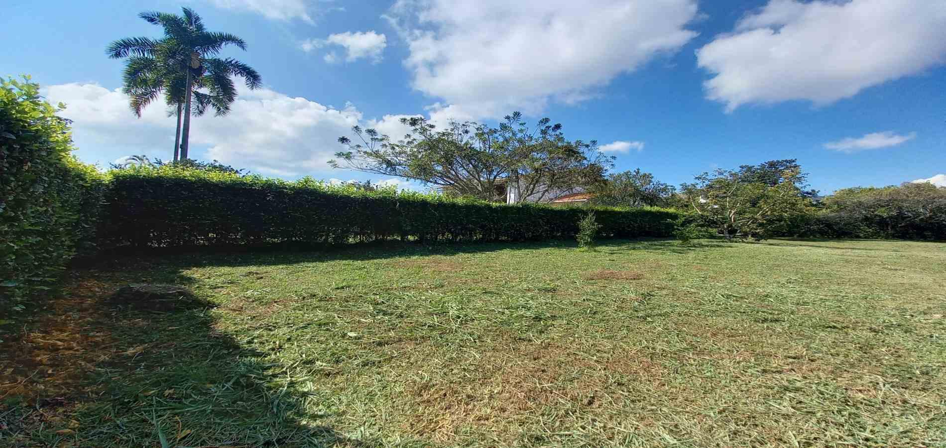 Foto de Lote / terreno en Venta en Vereda santagueda, Palestina - 26 - 279060420