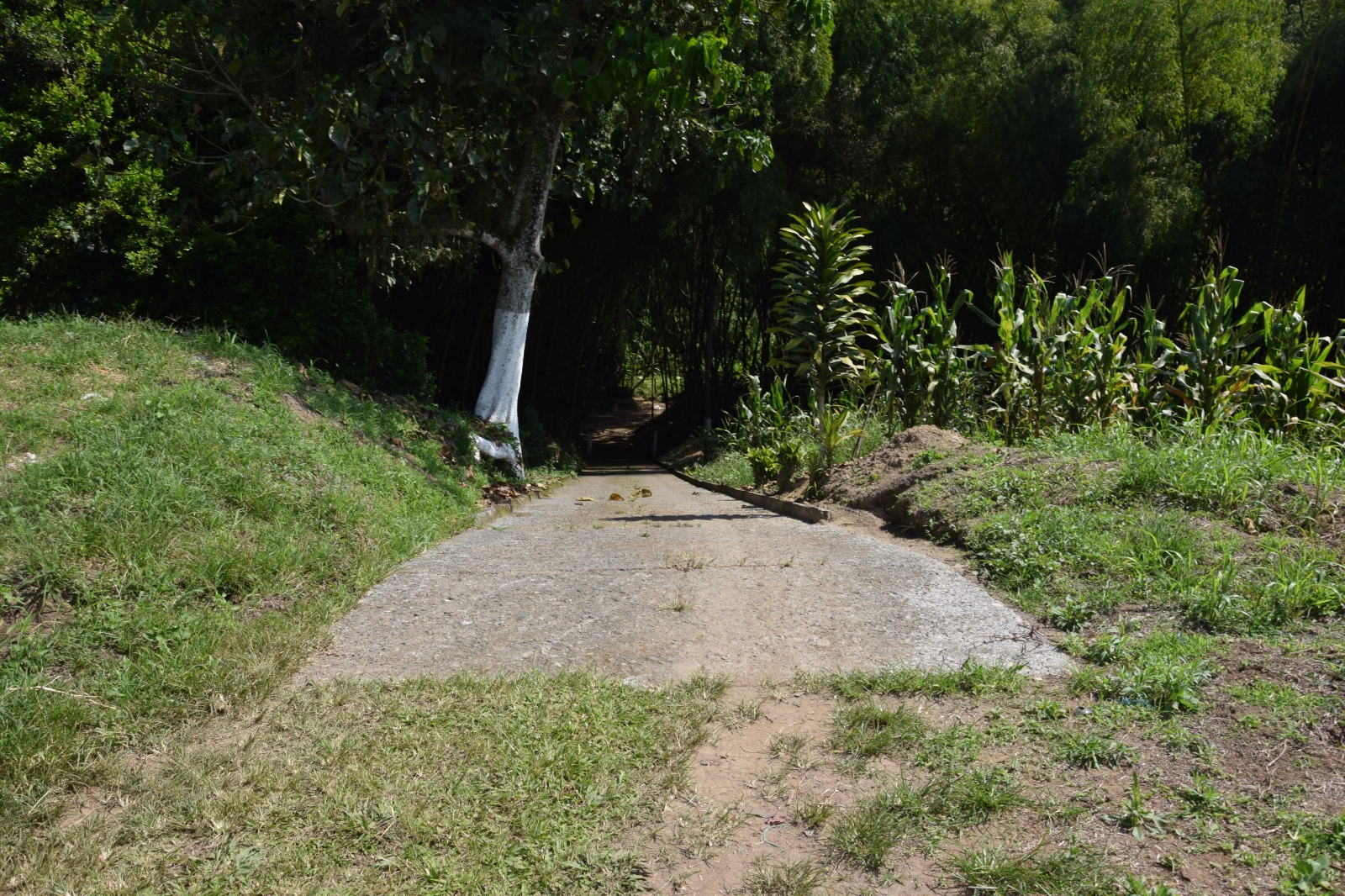 Foto de Finca en Venta en La cabaña, Manizales - 5 - 279058352