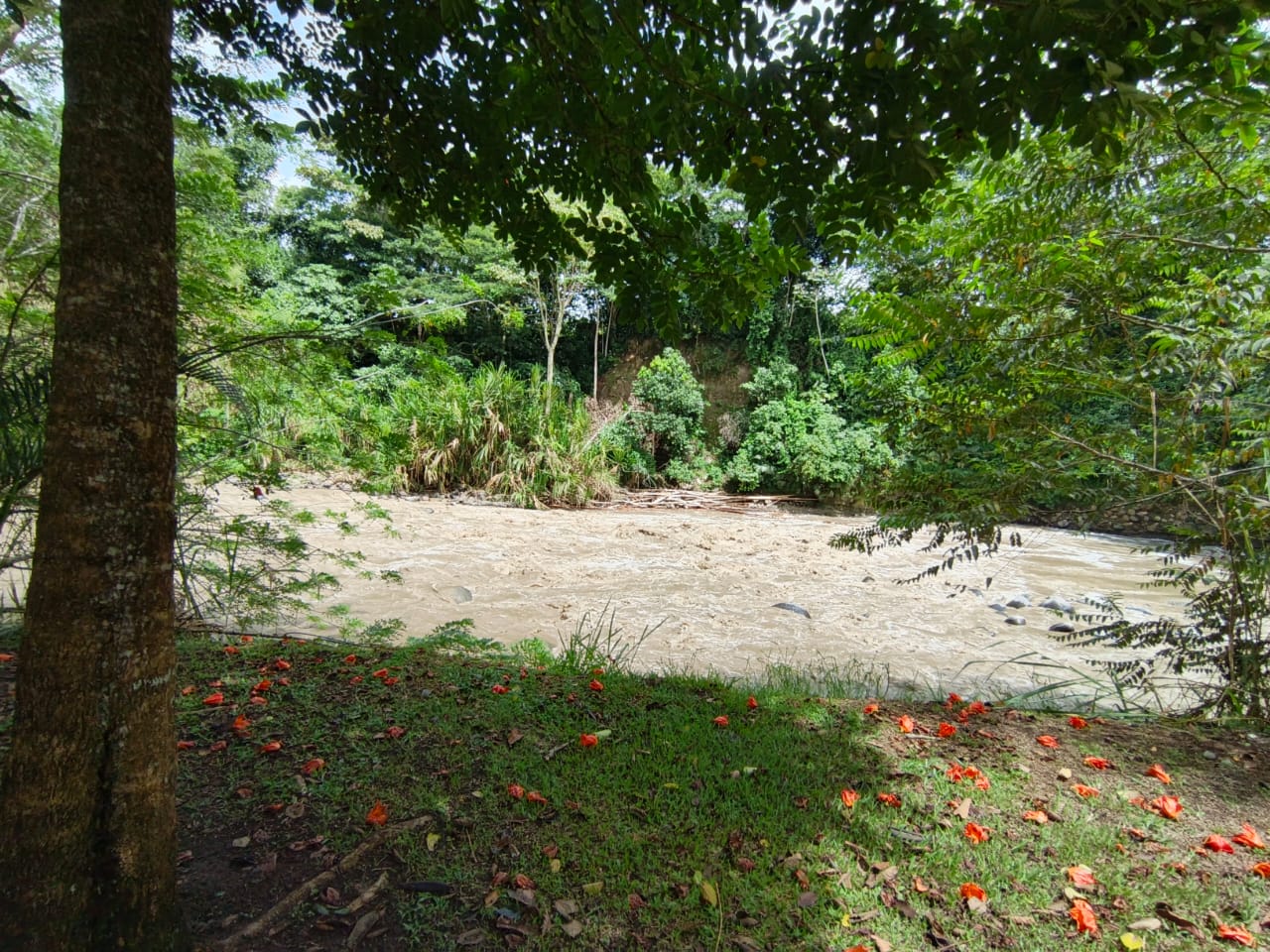 Foto de Lote / terreno en Venta en Condominio campestre reserva del campo, Manizales - 10 - 279064110