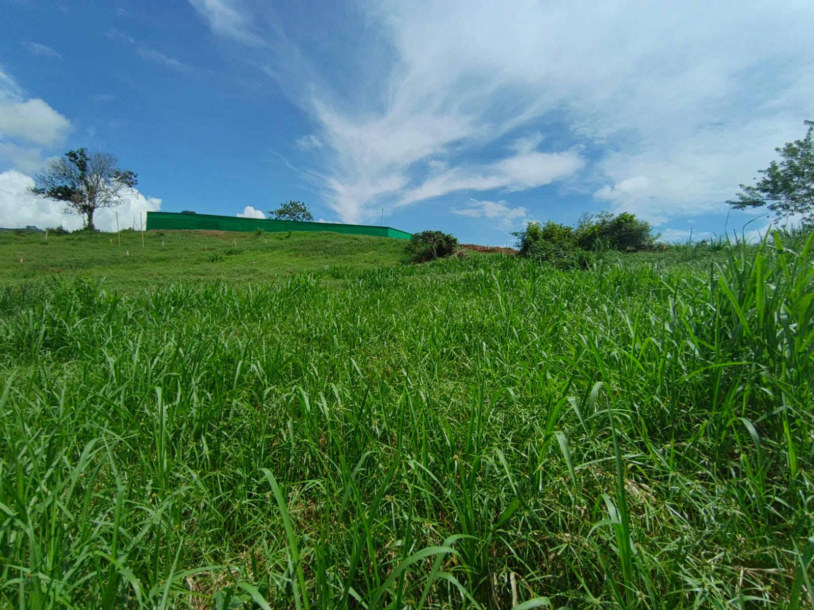 Foto de Lote / terreno en Venta en Vereda santagueda, Palestina - 4 - 279064499