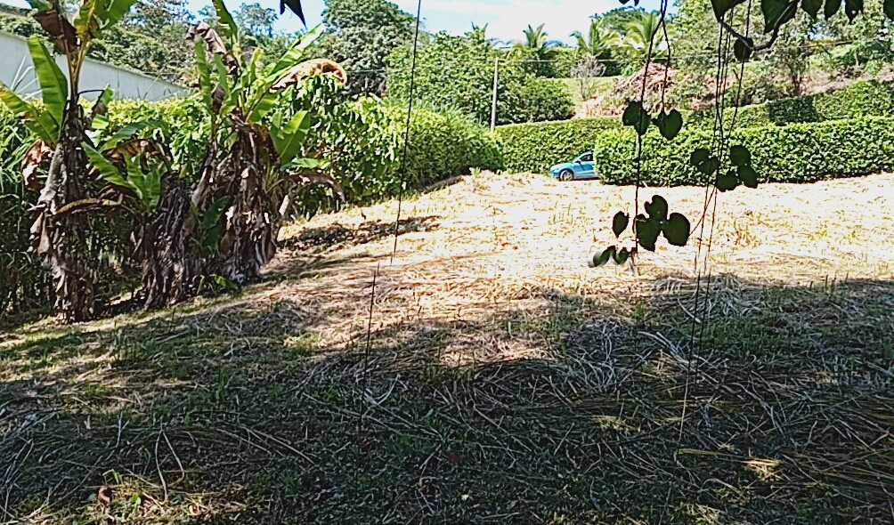 Foto de Lote / terreno en Venta en Kilometro 48, Manizales - 2 - 279062767