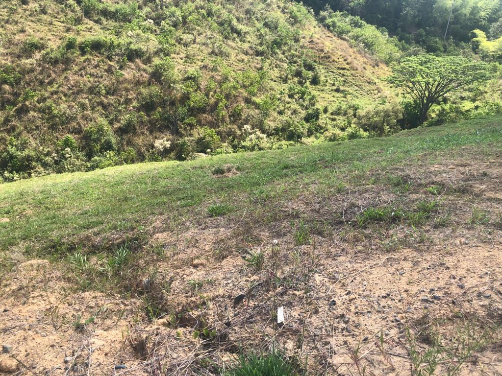 Foto de Lote / terreno en Venta en Cerritos, Pereira - 2 - 2790555100