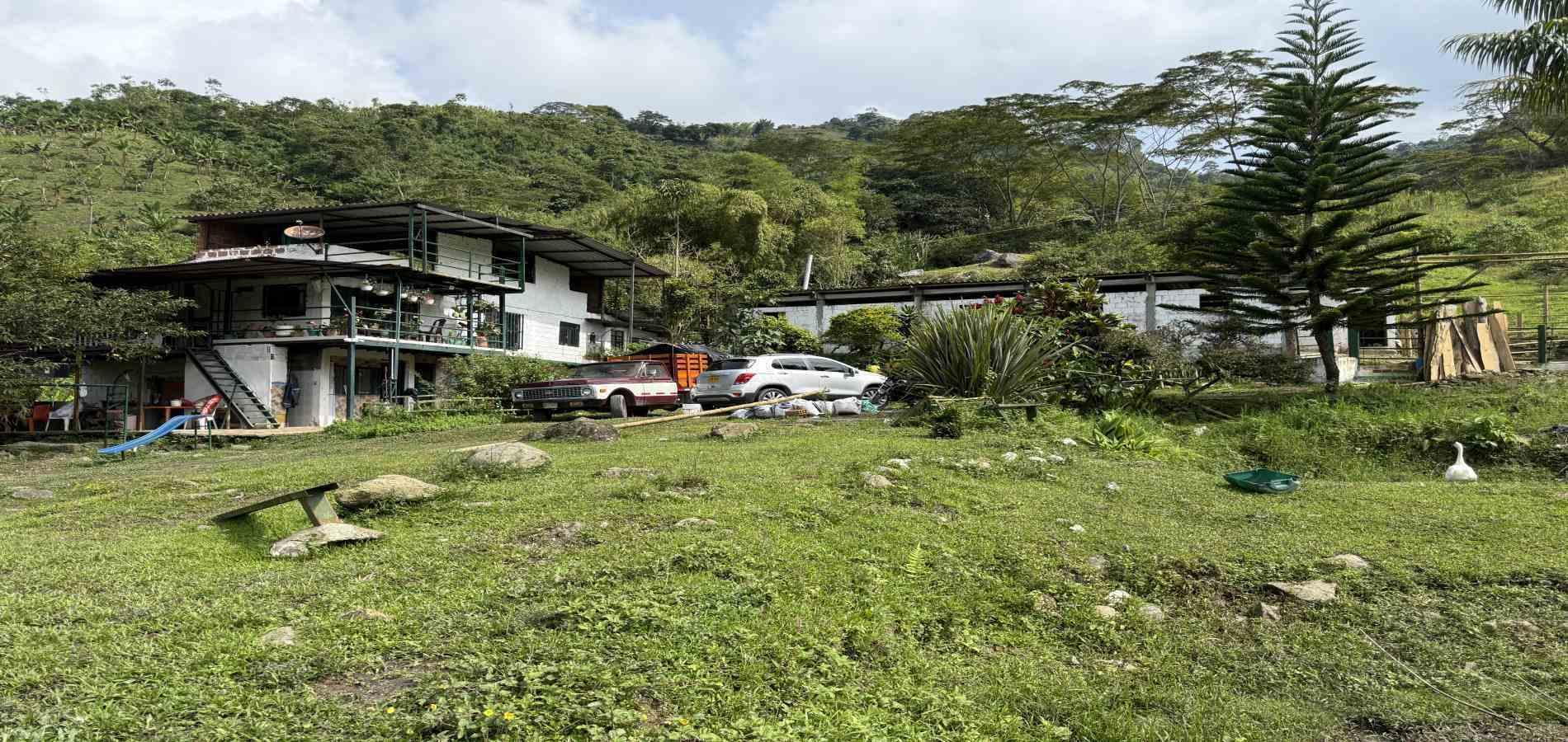 Foto de Finca en Venta en Agua azul, Dosquebradas - 48 - 279063271
