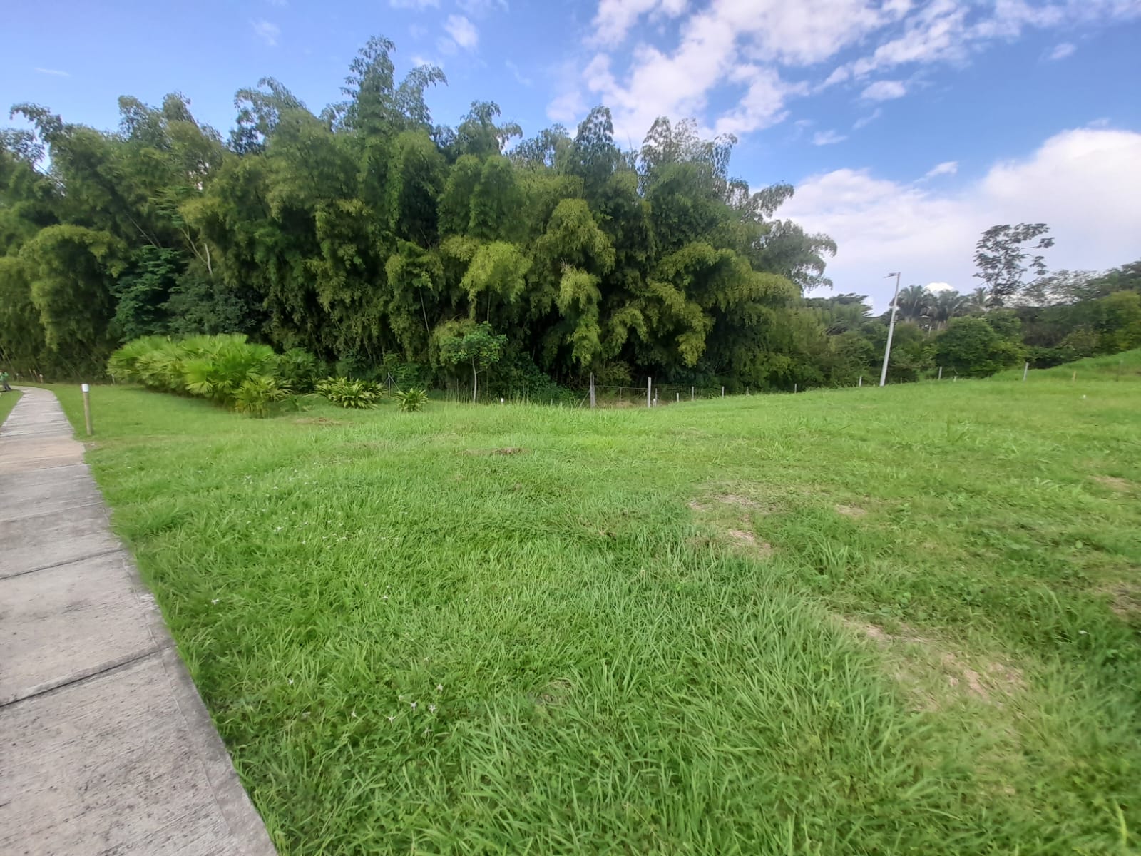 Foto de Lote / terreno en Venta en La floresta, Pereira - 11 - 279065198