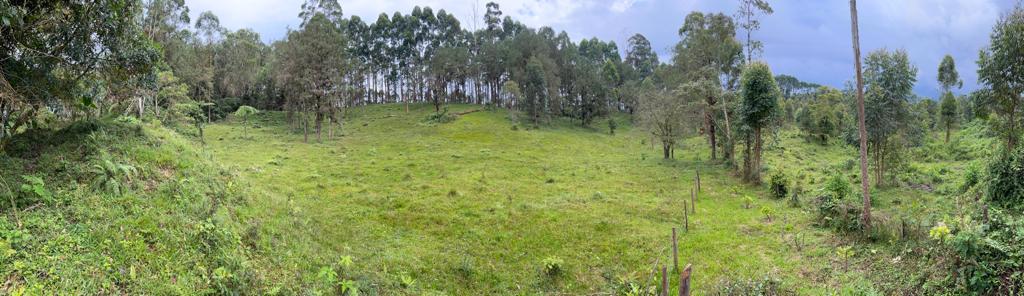 Foto de Lote / terreno en Venta en Via armenia, Pereira - 14 - 279066674