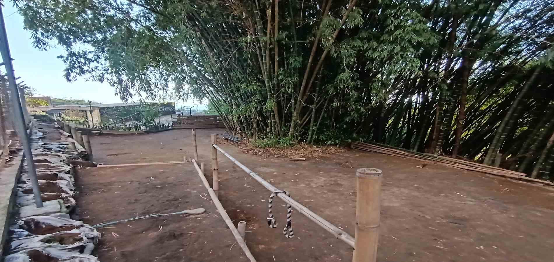 Foto de Edificio en Arriendo en Centro, Armenia  - 6 - 279064128