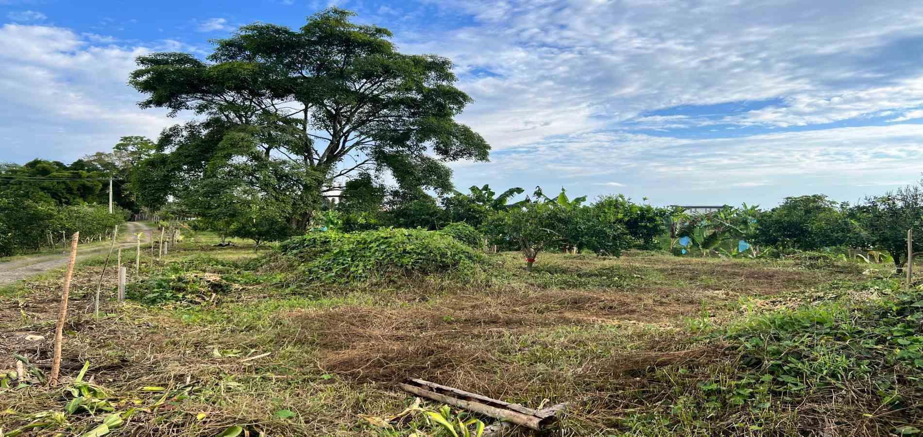 Foto de Lote / terreno en Venta en Armenia, Armenia  - 16 - 279067125