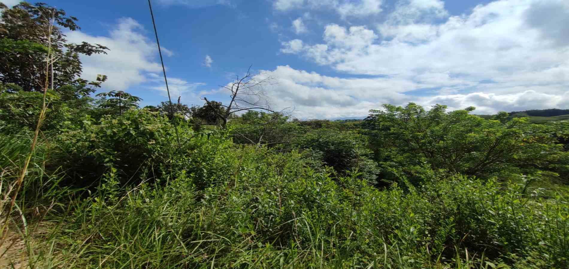 Foto de Lote / terreno en Venta en Cerritos, Pereira - 8 - 279063220
