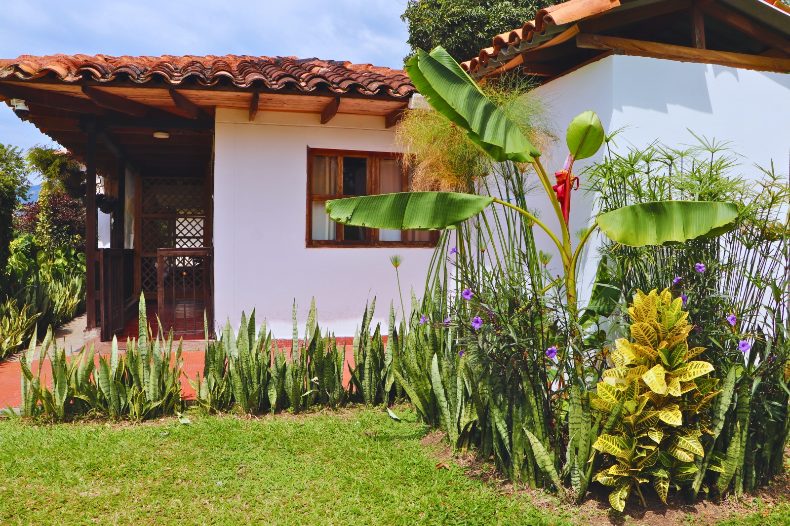Foto de Finca en Venta en Combia, Pereira - 27 - 279064832