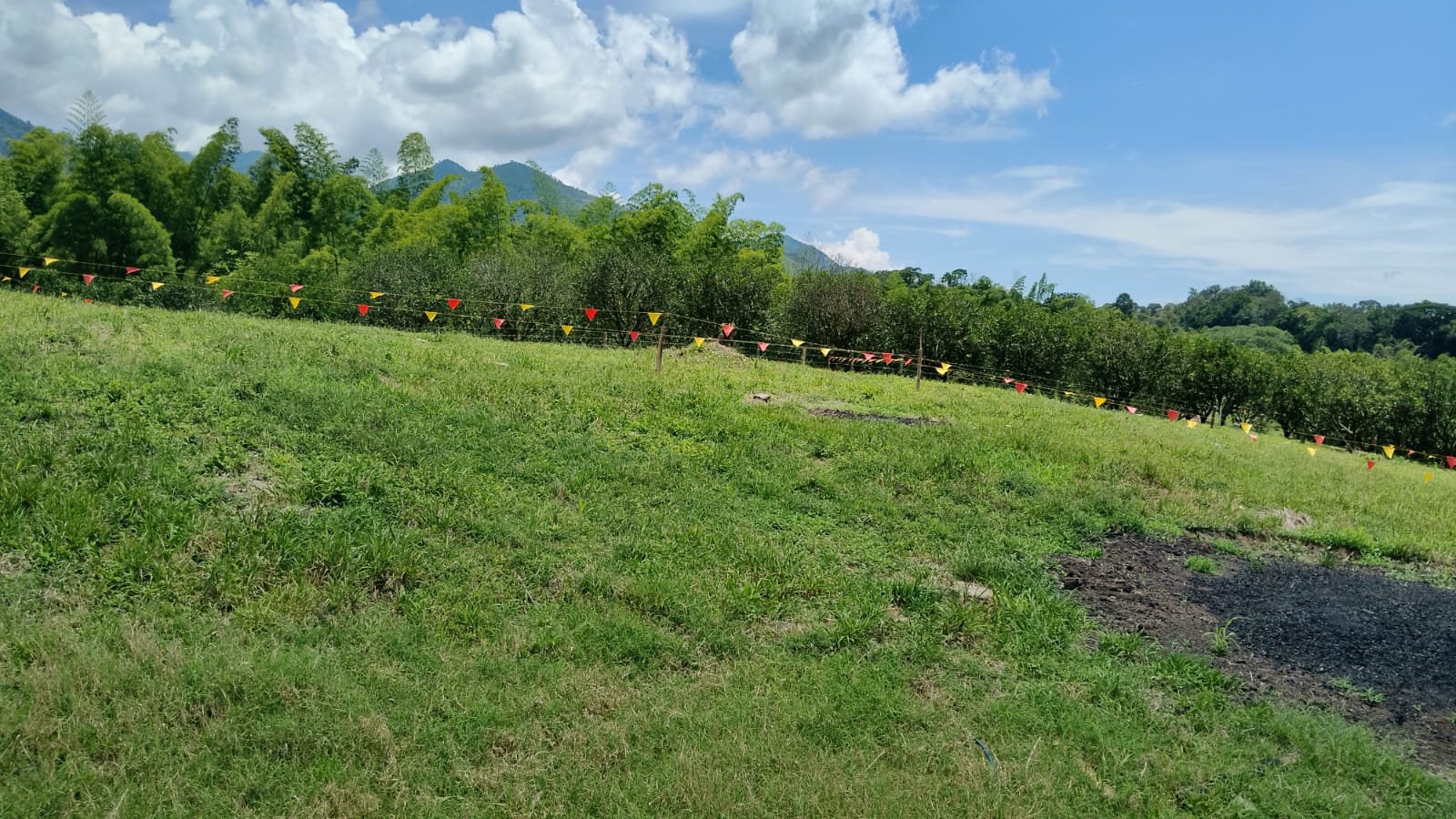 Foto de Lote / terreno en Venta en Anserma, Anserma - 11 - 279069118