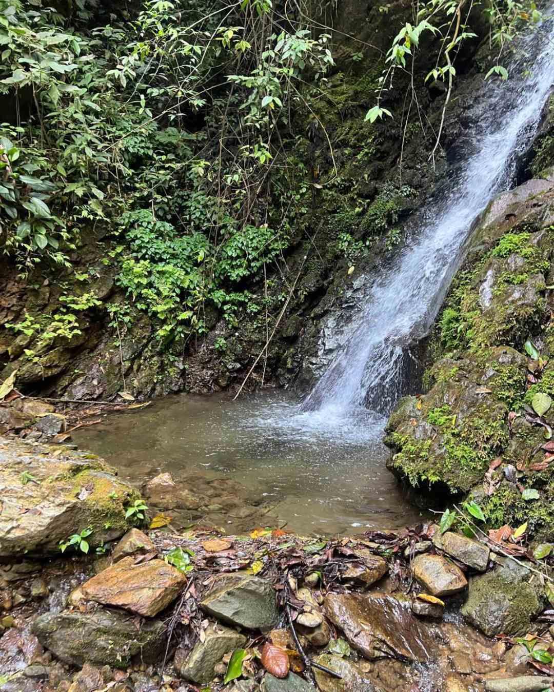 Foto de Finca en Venta en Calarca, Calarca - 2 - 279061849