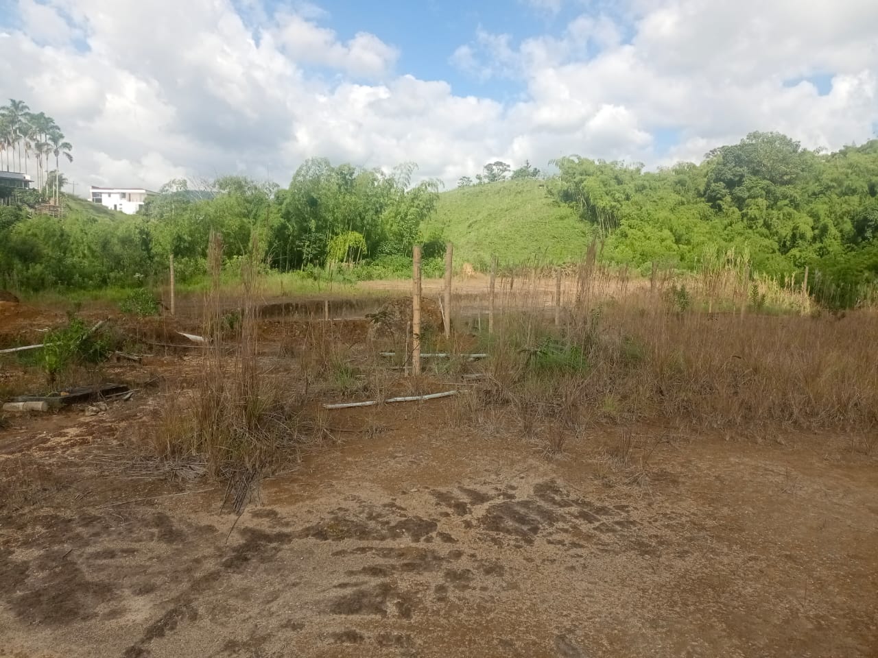 Foto de Lote / terreno en Venta en Via armenia, Pereira - 6 - 279052343
