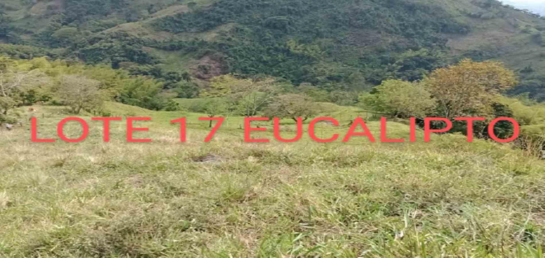 Foto de Lote / terreno en Venta en Vereda armenia , Neira - 25 - 279026013