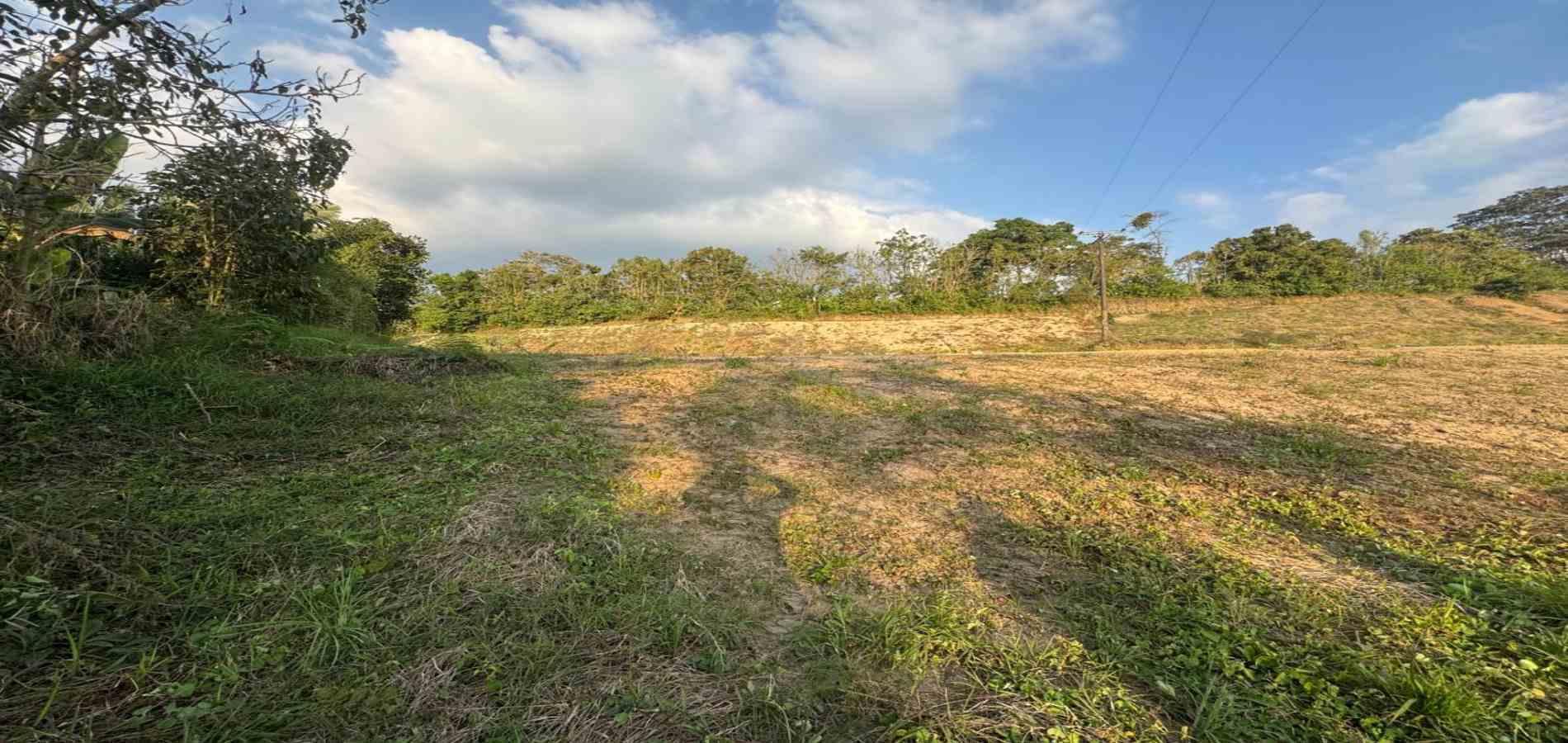 Foto de Lote / terreno en Venta en Via armenia, Pereira - 4 - 279060751