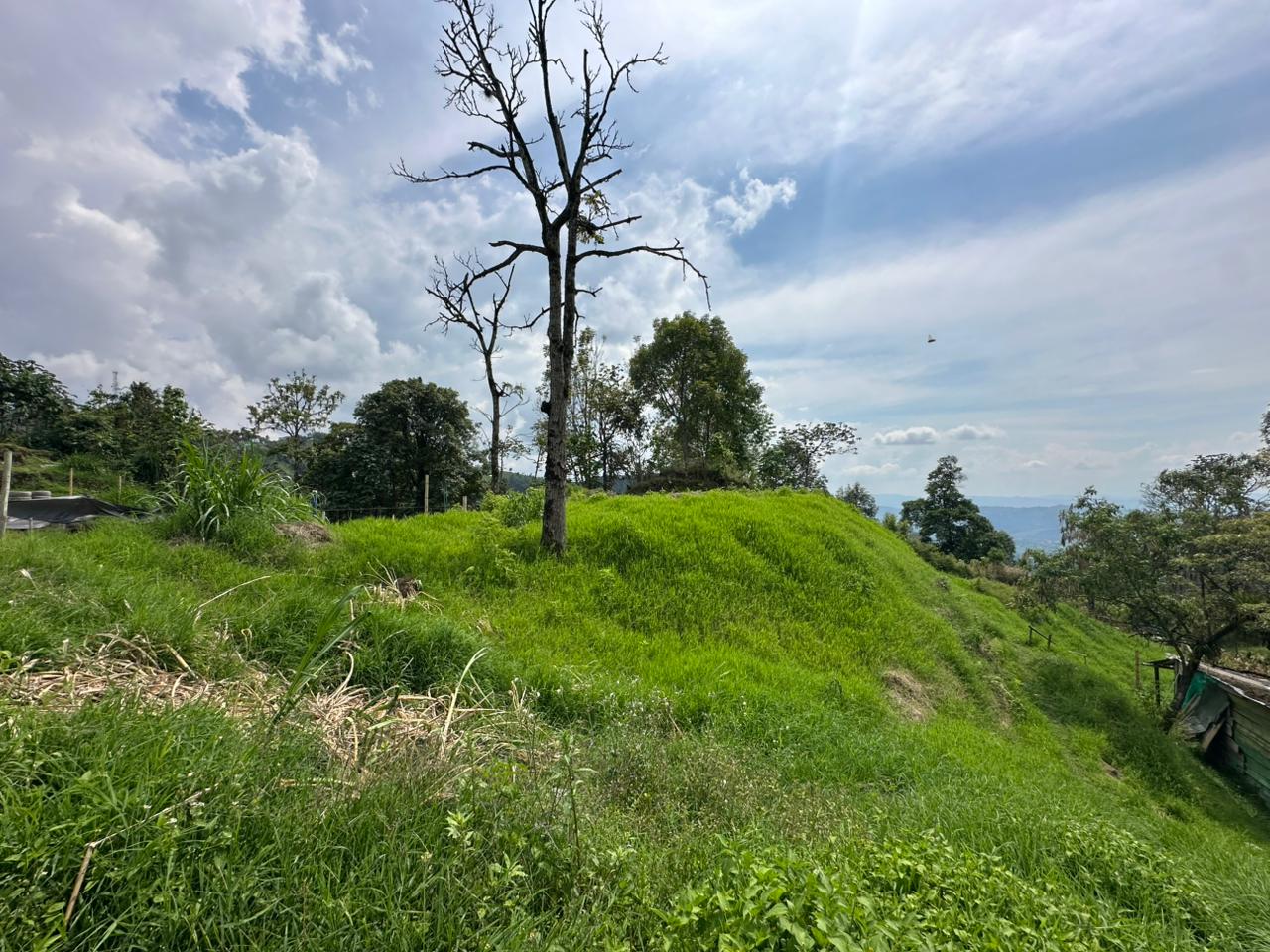 Foto de Lote / terreno en Venta en Arenillo, Manizales - 9 - 279067215