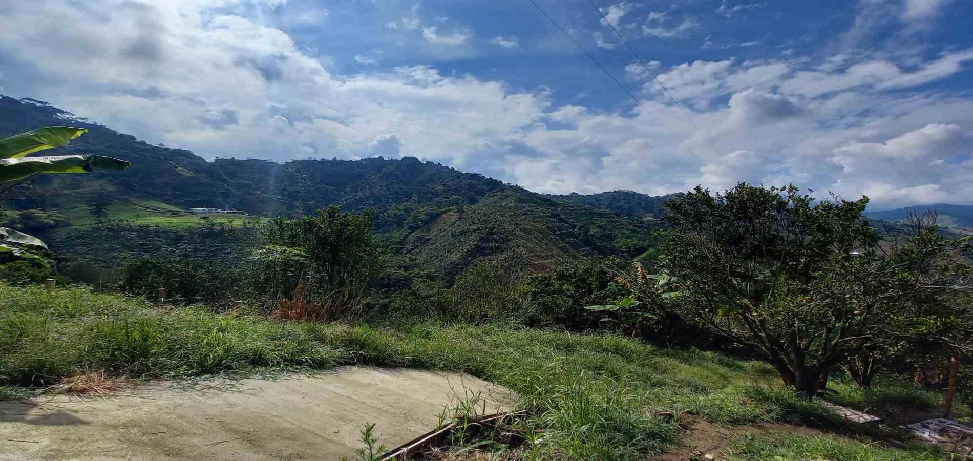 Foto de Finca en Venta en San peregrino, Manizales - 9 - 279061656